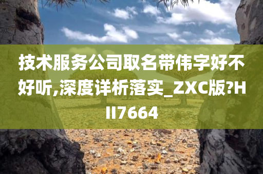 技术服务公司取名带伟字好不好听,深度详析落实_ZXC版?HII7664