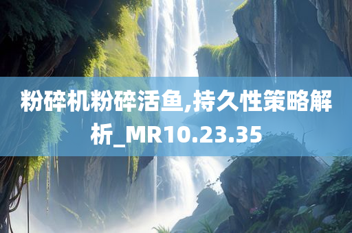 粉碎机粉碎活鱼,持久性策略解析_MR10.23.35