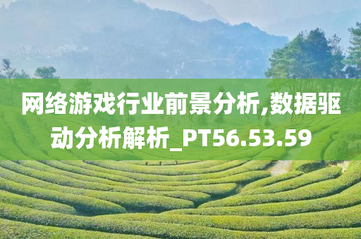 网络游戏行业前景分析,数据驱动分析解析_PT56.53.59