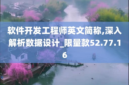 软件开发工程师英文简称,深入解析数据设计_限量款52.77.16