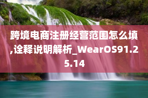 跨境电商注册经营范围怎么填,诠释说明解析_WearOS91.25.14