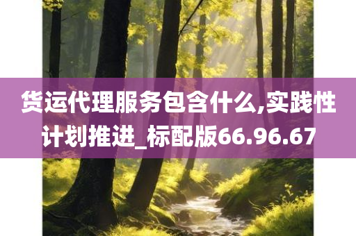 货运代理服务包含什么,实践性计划推进_标配版66.96.67