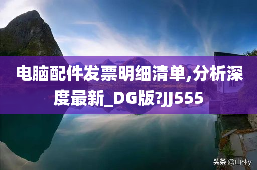 电脑配件发票明细清单,分析深度最新_DG版?JJ555