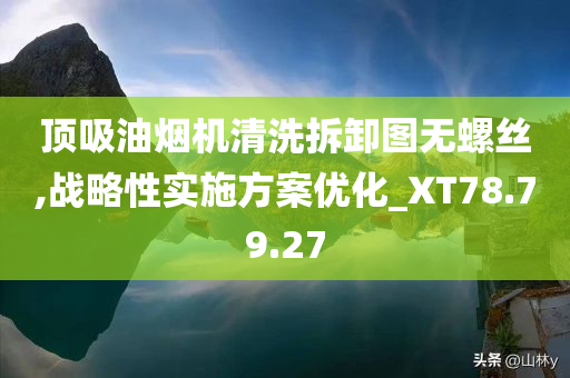 顶吸油烟机清洗拆卸图无螺丝,战略性实施方案优化_XT78.79.27