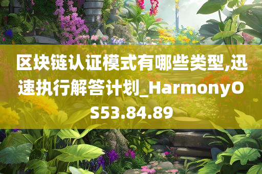 区块链认证模式有哪些类型,迅速执行解答计划_HarmonyOS53.84.89