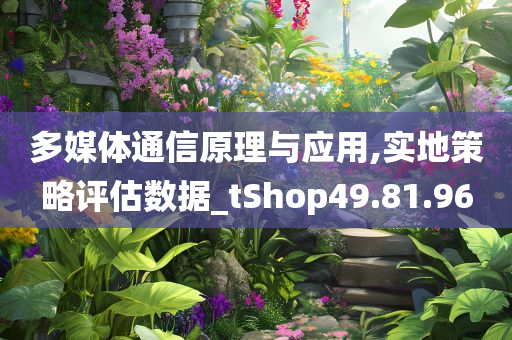 多媒体通信原理与应用,实地策略评估数据_tShop49.81.96