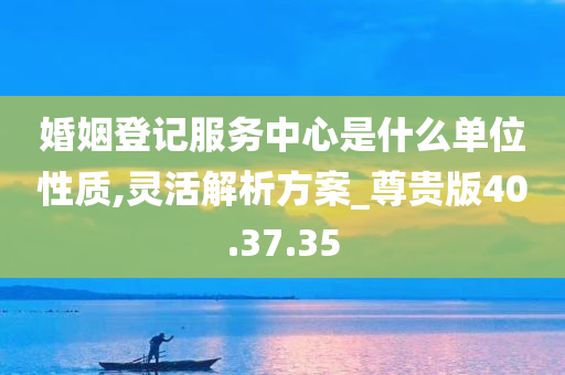 婚姻登记服务中心是什么单位性质,灵活解析方案_尊贵版40.37.35