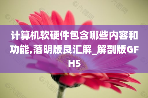 计算机软硬件包含哪些内容和功能,落明版良汇解_解剖版GFH5