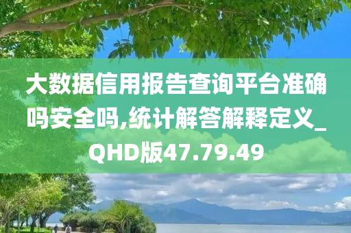 大数据信用报告查询平台准确吗安全吗,统计解答解释定义_QHD版47.79.49