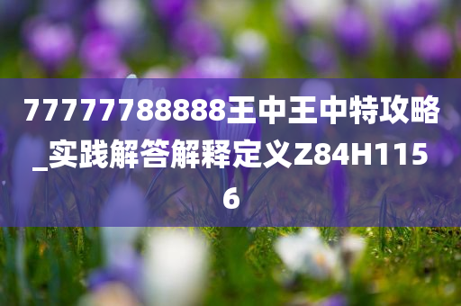 77777788888王中王中特攻略_实践解答解释定义Z84H1156