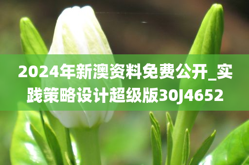 2024年新澳资料免费公开_实践策略设计超级版30J4652