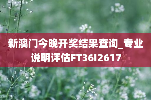 新澳门今晚开奖结果查询_专业说明评估FT36I2617