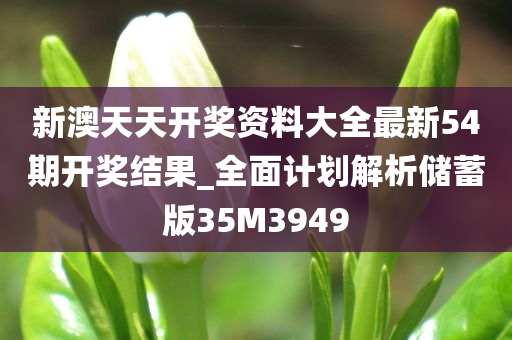 新澳天天开奖资料大全最新54期开奖结果_全面计划解析储蓄版35M3949