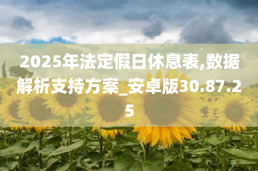 2025年法定假日休息表,数据解析支持方案_安卓版30.87.25