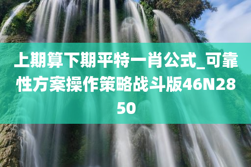 上期算下期平特一肖公式_可靠性方案操作策略战斗版46N2850