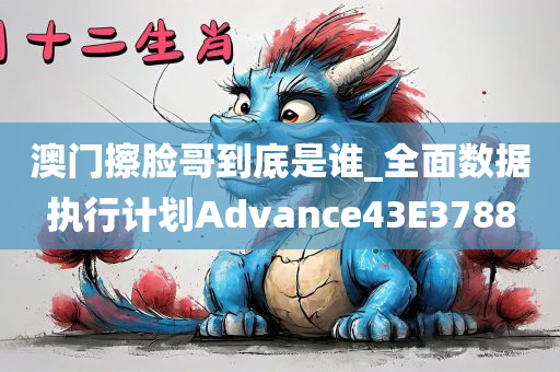 澳门擦脸哥到底是谁_全面数据执行计划Advance43E3788