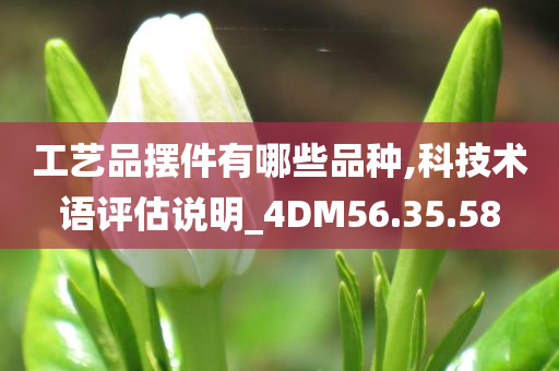 工艺品摆件有哪些品种,科技术语评估说明_4DM56.35.58