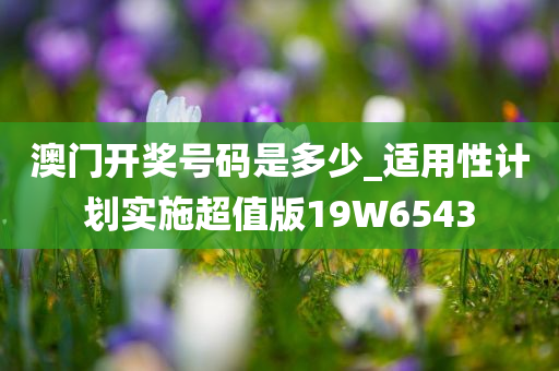 澳门开奖号码是多少_适用性计划实施超值版19W6543