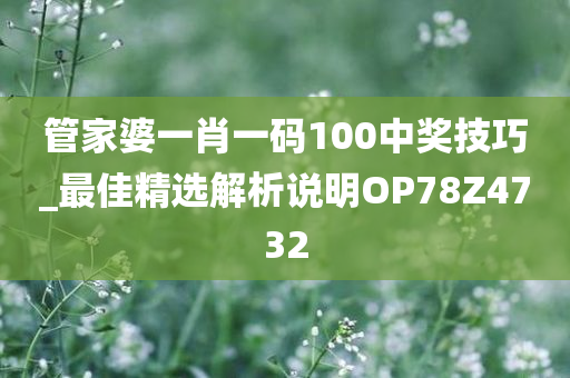 管家婆一肖一码100中奖技巧_最佳精选解析说明OP78Z4732