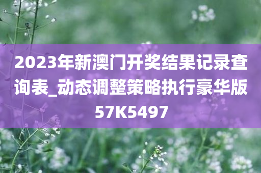 2023年新澳门开奖结果记录查询表_动态调整策略执行豪华版57K5497