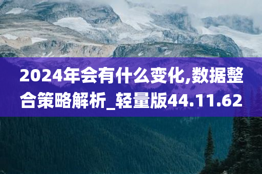 2024年会有什么变化,数据整合策略解析_轻量版44.11.62