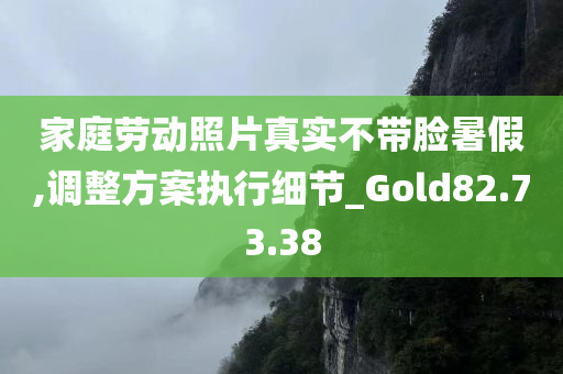 家庭劳动照片真实不带脸暑假,调整方案执行细节_Gold82.73.38