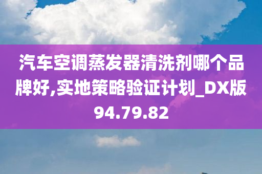 汽车空调蒸发器清洗剂哪个品牌好,实地策略验证计划_DX版94.79.82