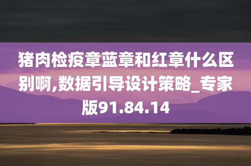 猪肉检疫章蓝章和红章什么区别啊,数据引导设计策略_专家版91.84.14