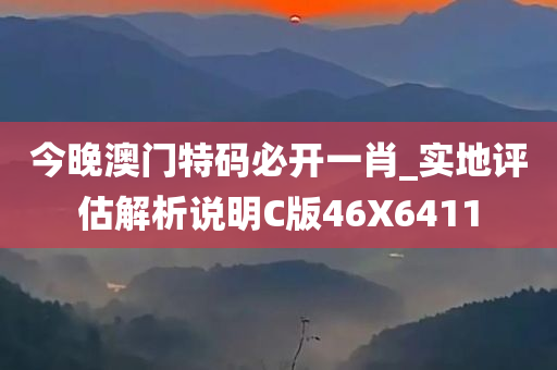 今晚澳门特码必开一肖_实地评估解析说明C版46X6411