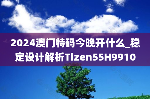 2024澳门特码今晚开什么_稳定设计解析Tizen55H9910