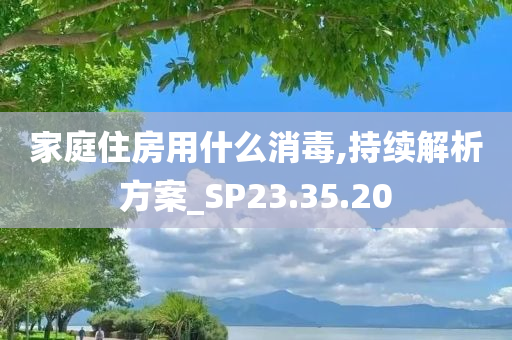 家庭住房用什么消毒,持续解析方案_SP23.35.20