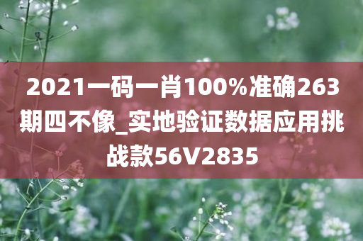 2021一码一肖100%准确263期四不像_实地验证数据应用挑战款56V2835