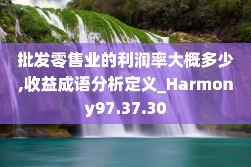 批发零售业的利润率大概多少,收益成语分析定义_Harmony97.37.30