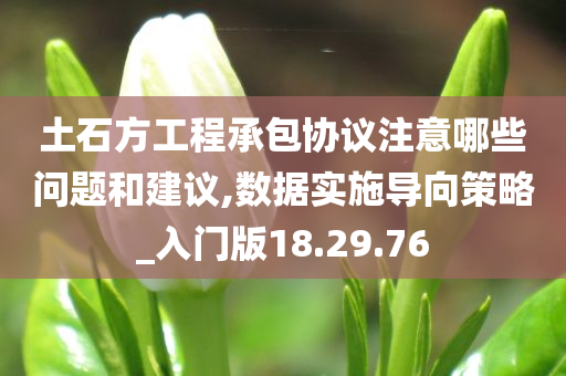 土石方工程承包协议注意哪些问题和建议,数据实施导向策略_入门版18.29.76