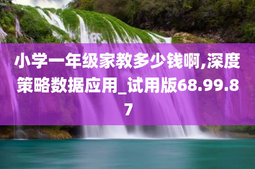 小学一年级家教多少钱啊,深度策略数据应用_试用版68.99.87