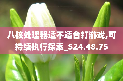 八核处理器适不适合打游戏,可持续执行探索_S24.48.75