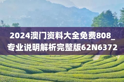 2024澳门资料大全免费808_专业说明解析完整版62N6372