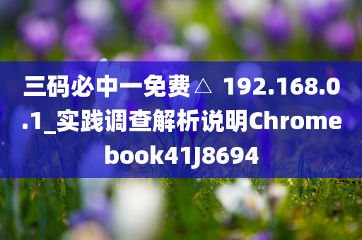 三码必中一免费△ 192.168.0.1_实践调查解析说明Chromebook41J8694