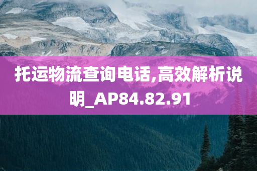 托运物流查询电话,高效解析说明_AP84.82.91