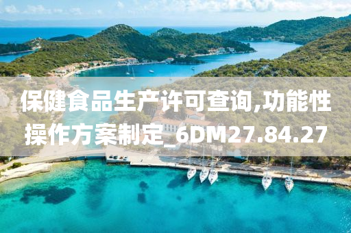 保健食品生产许可查询,功能性操作方案制定_6DM27.84.27