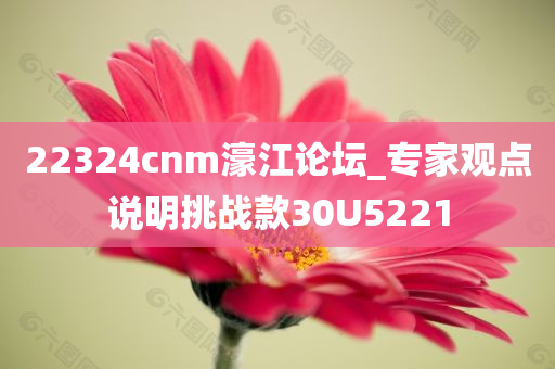 22324cnm濠江论坛_专家观点说明挑战款30U5221