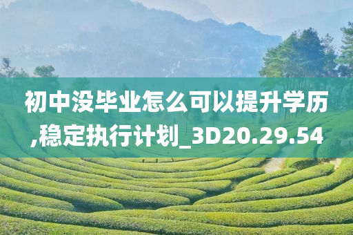 初中没毕业怎么可以提升学历,稳定执行计划_3D20.29.54