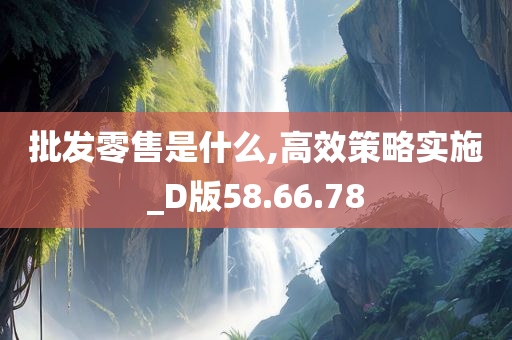 批发零售是什么,高效策略实施_D版58.66.78