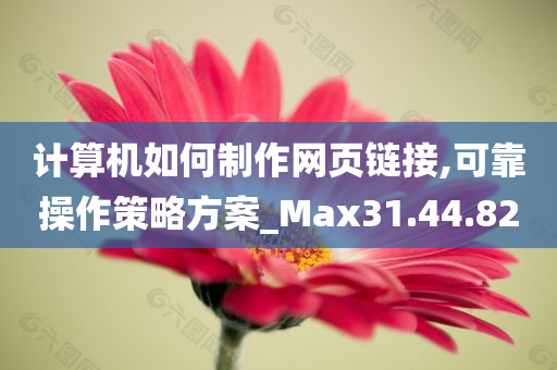 计算机如何制作网页链接,可靠操作策略方案_Max31.44.82