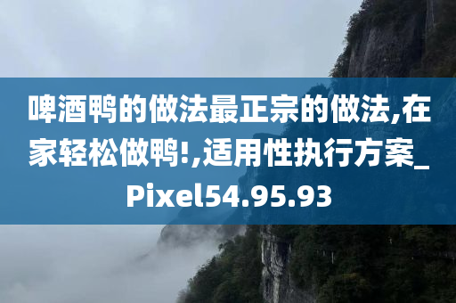 啤酒鸭的做法最正宗的做法,在家轻松做鸭!,适用性执行方案_Pixel54.95.93