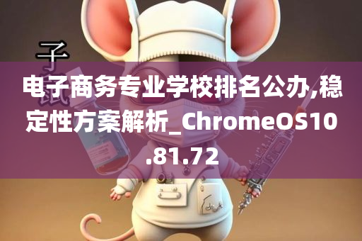 电子商务专业学校排名公办,稳定性方案解析_ChromeOS10.81.72