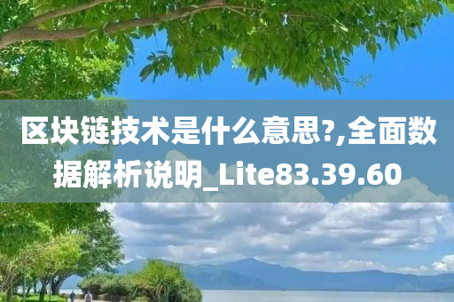 区块链技术是什么意思?,全面数据解析说明_Lite83.39.60