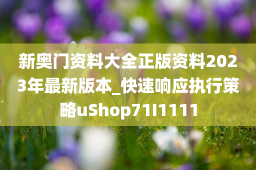 新奥门资料大全正版资料2023年最新版本_快速响应执行策略uShop71I1111