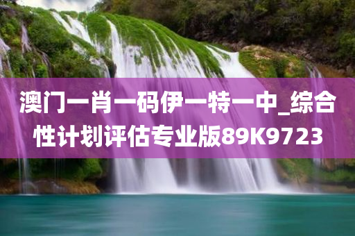 澳门一肖一码伊一特一中_综合性计划评估专业版89K9723