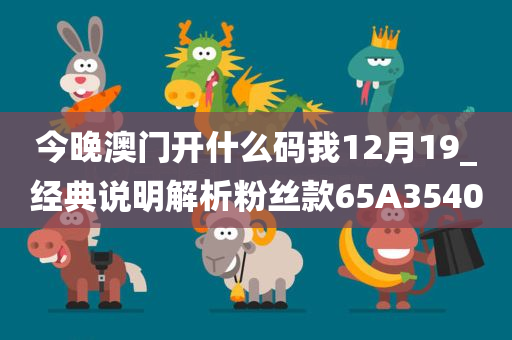 今晚澳门开什么码我12月19_经典说明解析粉丝款65A3540